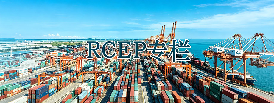 RECP专题