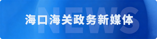 海口海关政务新媒体